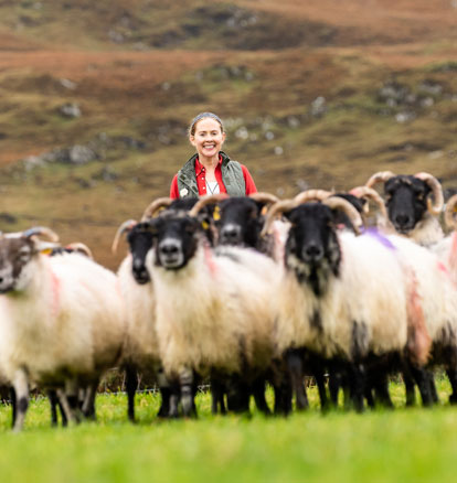 Sheep Herding, Traditional Irish Music & Homemade Scones